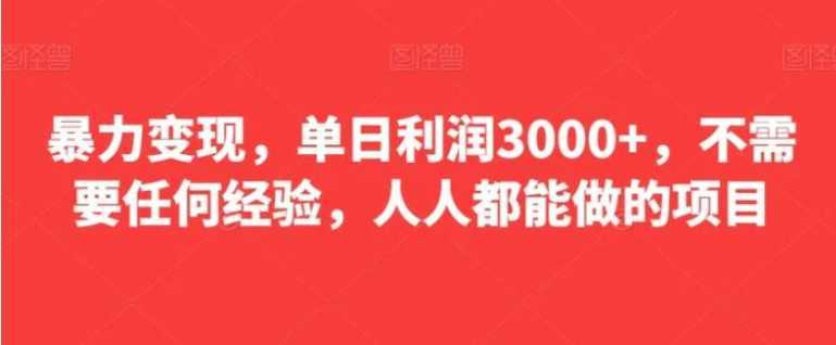 暴力变现，单日利润3000+，不需要任何经验，人人都能做的项目