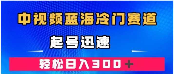 中视频蓝海冷门赛道，韩国视频奇闻解说，起号迅速，日入300＋