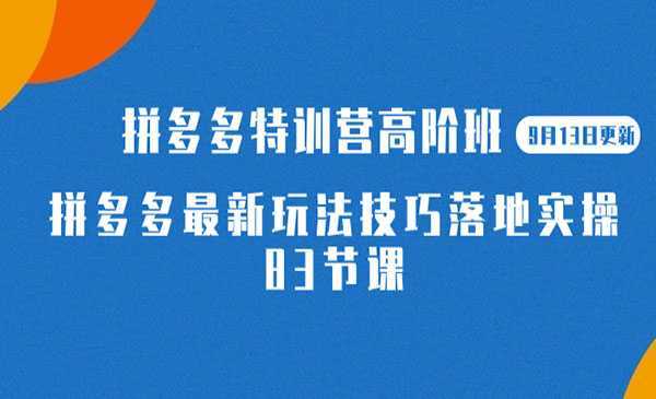 《拼多多最新玩法技巧落地实操》