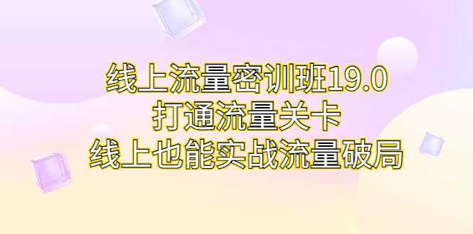 线上流量密训班19.0，打通流量关卡，线上也能实战流量破局