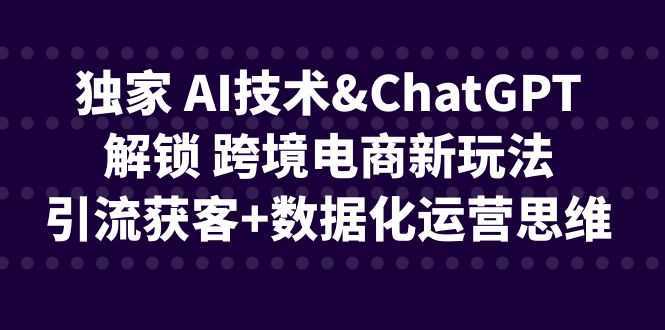 独家 AI技术&ChatGPT解锁 跨境电商新玩法，引流获客+数据化运营思维