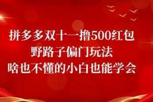 首发价值2980最新淘宝无货源不开车自然流超低成本截流玩法日入300+【揭秘】【1111更新】