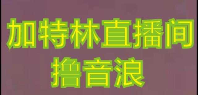 抖音加特林直播间搭建技术，抖音0粉开播，暴力撸音浪，2023新口子，每天800+【素材+详细教程】