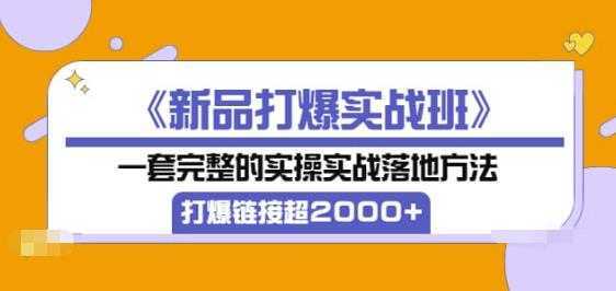 《新品打爆实战班》一套完整的实操实战落地方法，打爆链接超2000+（38节课)