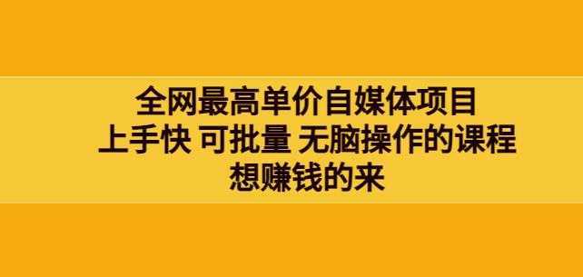 网最单高价自媒体项目：上手快可批量无脑操作的课程，想赚钱的来