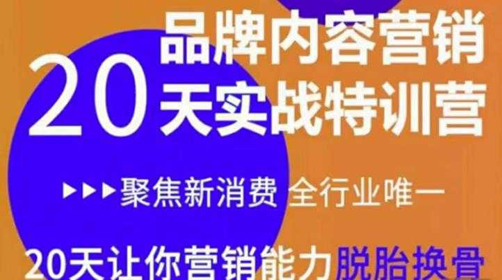 《内容营销实操特训营》20天让你营销能力脱胎换骨