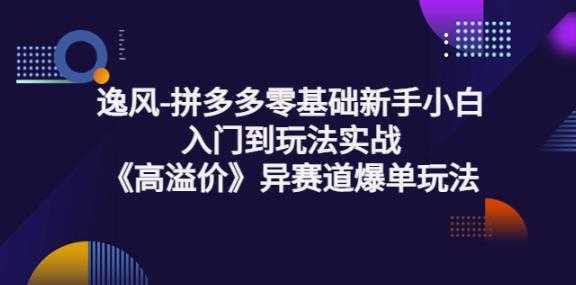 逸风-拼多多零基础新手小白入门到玩法实战《高溢价》异赛道爆单玩法实操课