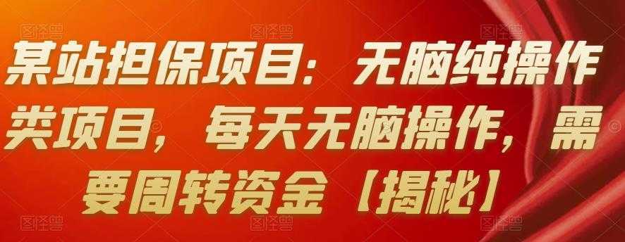 某站担保项目：无脑纯操作类项目，每天无脑操作，需要周转资金【揭秘】