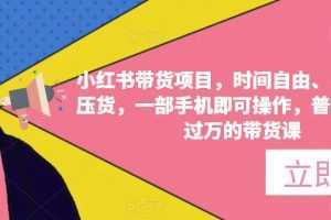 小红书带货项目，时间自由、零门槛无压货，一部手机即可操作，普通人月收过万的带货课