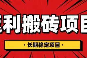 国外返利网项目，返利搬砖长期稳定，月入3000刀