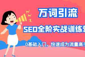 万词引流-SEO全阶实战训练营，0基础入门，快速成为流量高手