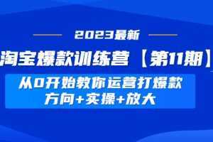 淘宝爆款训练营【第11期】 从0开始教你运营打爆款，方向+实操+放大