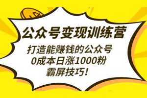 公众号变现训练营打造能赚钱的公众号，0成本日涨1000粉，霸屏技巧