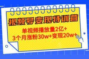 21天视频号变现特训营：单视频播放量2亿+3个月涨粉30w+变现20w+