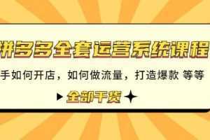 拼多多全套运营系统课程：新手如何开店 如何做流量 打造爆款 等等 全部干货