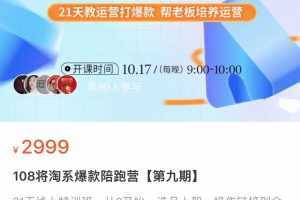 108将淘系爆款陪跑营【第九期】，从0开始，手把手教你链接起飞，爆款不断，价值2999元