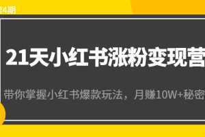 21天小红书涨粉变现营：带你掌握小红书爆款玩法，月赚10W+秘密