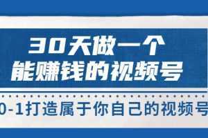 30天做一个能赚钱的视频号，从0-1打造属于你自己的视频号 (价值199元)