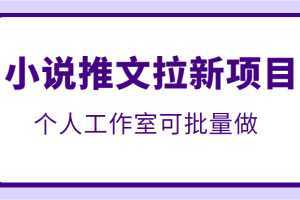 外面收费6880的小说推文拉新项目，个人工作室可批量操作