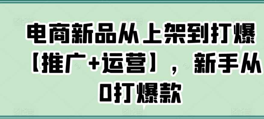 电商新品从上架到打爆【推广+运营】，新手从0打爆款