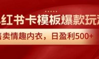 小红书卡模板爆款玩法，售卖情趣内衣，日盈利500+【揭秘】