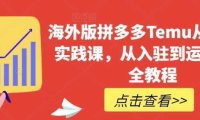 海外版拼多多Temu从零到一实践课，从入驻到运营的最全教程