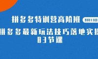 2023拼多多·特训营高阶班【9月13日更新】拼多多最新玩法技巧落地实操-83节