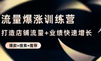 流量爆涨训练营：打造店铺流量+业绩快速增长 (爆款+搜索+推荐)