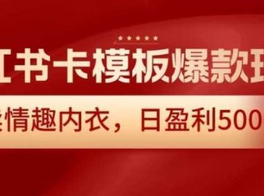 小红书卡模板爆款玩法，售卖情趣内衣，日盈利500+【揭秘】