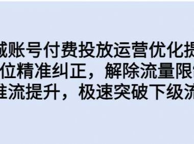 同城账号付费投放运营优化提升，定位精准纠正，解除流量限制，自然推流提升