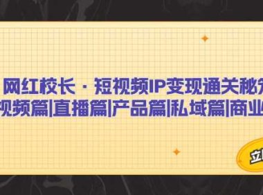 网红校长·短视频IP变现通关秘笈：短视频篇+直播篇+产品篇+私域篇+商业模式