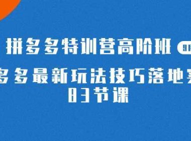 2023拼多多·特训营高阶班【9月13日更新】拼多多最新玩法技巧落地实操-83节