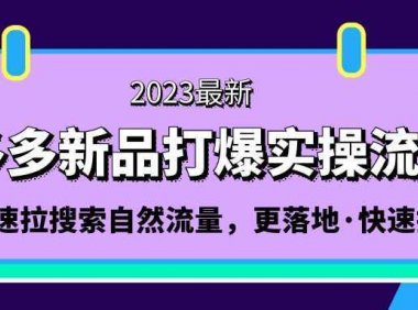 拼多多-新品打爆实操流程：轻松快速拉搜索自然流量，更落地·快速提升!