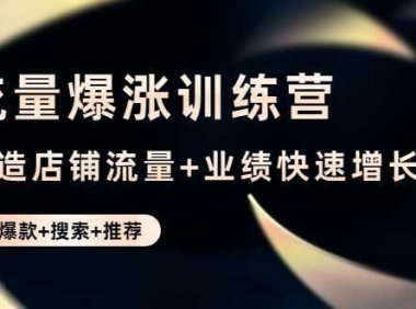 流量爆涨训练营：打造店铺流量+业绩快速增长 (爆款+搜索+推荐)