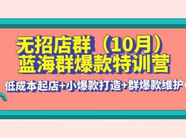 无招店群·蓝海群爆款特训营(10月新课) 低成本起店+小爆款打造+群爆款维护