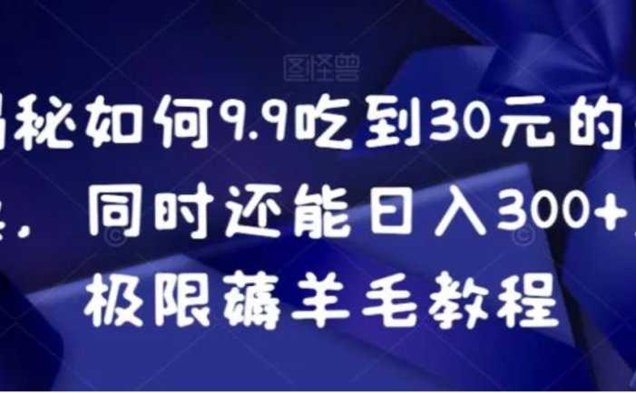 揭秘如何9.9吃到30元的外卖，同时还能日入300+，极限薅羊毛教程