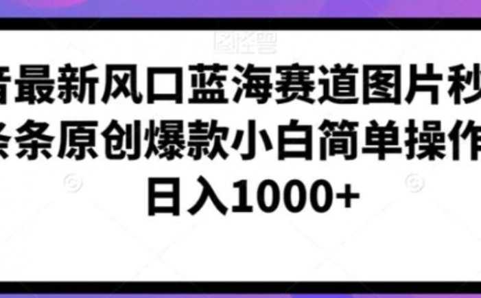 抖音最新风口蓝海赛道图片秒变视频条条原创爆款小白简单操作轻松日入1000+