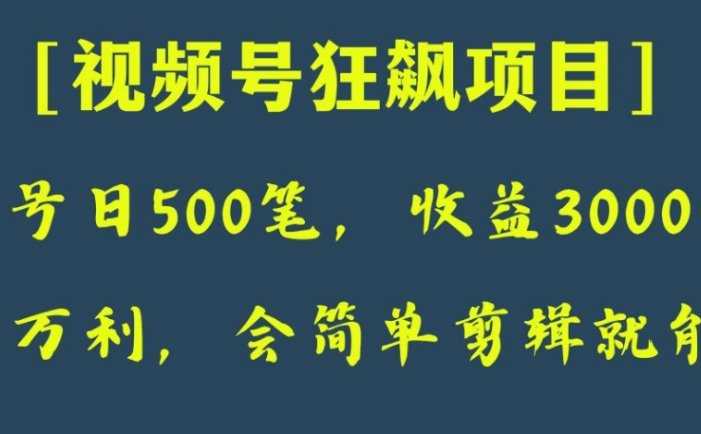 日收款500笔，纯利润3000+，视频号狂飙项目！