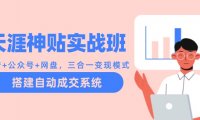 天涯神贴实战班：抖音+公众号+网盘，三合一变现模式，搭建自动成交系统