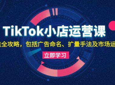 TikTok小店运营课：投流技法全攻略，包括广告命名 扩量手法及市场运营方法