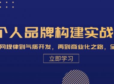 个人品牌构建实战课：从互联网规律到气质开发，再到商业化之路，全程解析