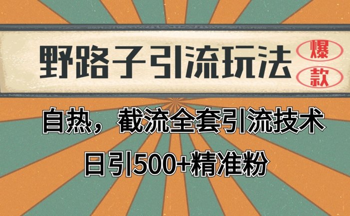 抖音小红书视频号全平台引流打法，全自动引流日引2000+精准客户