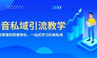 抖音私域引流教学：从项目原理到获客转化，一站式学习抖商 私域