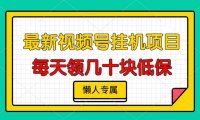 视频号挂机项目，每天几十块低保，懒人专属