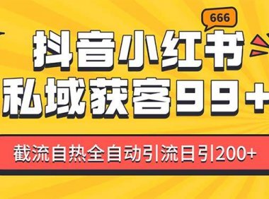 某音，小红书，野路子引流玩法截流自热一体化日引200+精准粉 单日变现3…