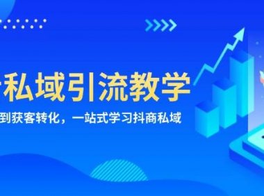 抖音私域引流教学：从项目原理到获客转化，一站式学习抖商 私域