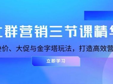 社群营销三节课精华：掌握叠价、大促与金字塔玩法，打造高效营销体系