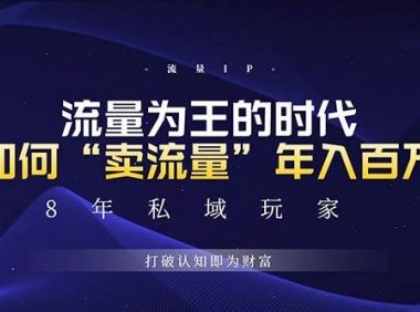 未来如何通过“卖流量”年入百万，跨越一切周期绝对蓝海项目