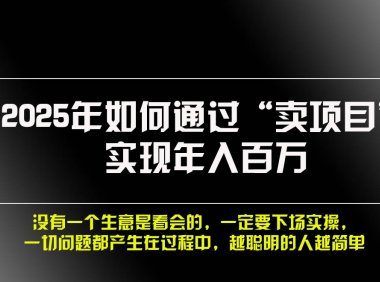 2025年如何通过“卖项目”实现年入百万，做网赚必看！！