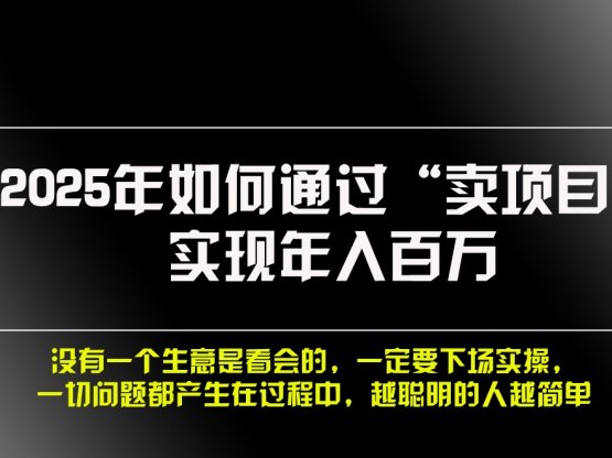 2025年如何通过“卖项目”实现年入百万